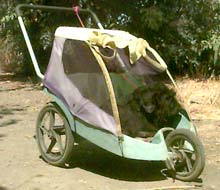 Pixel lying down in her jogger cart